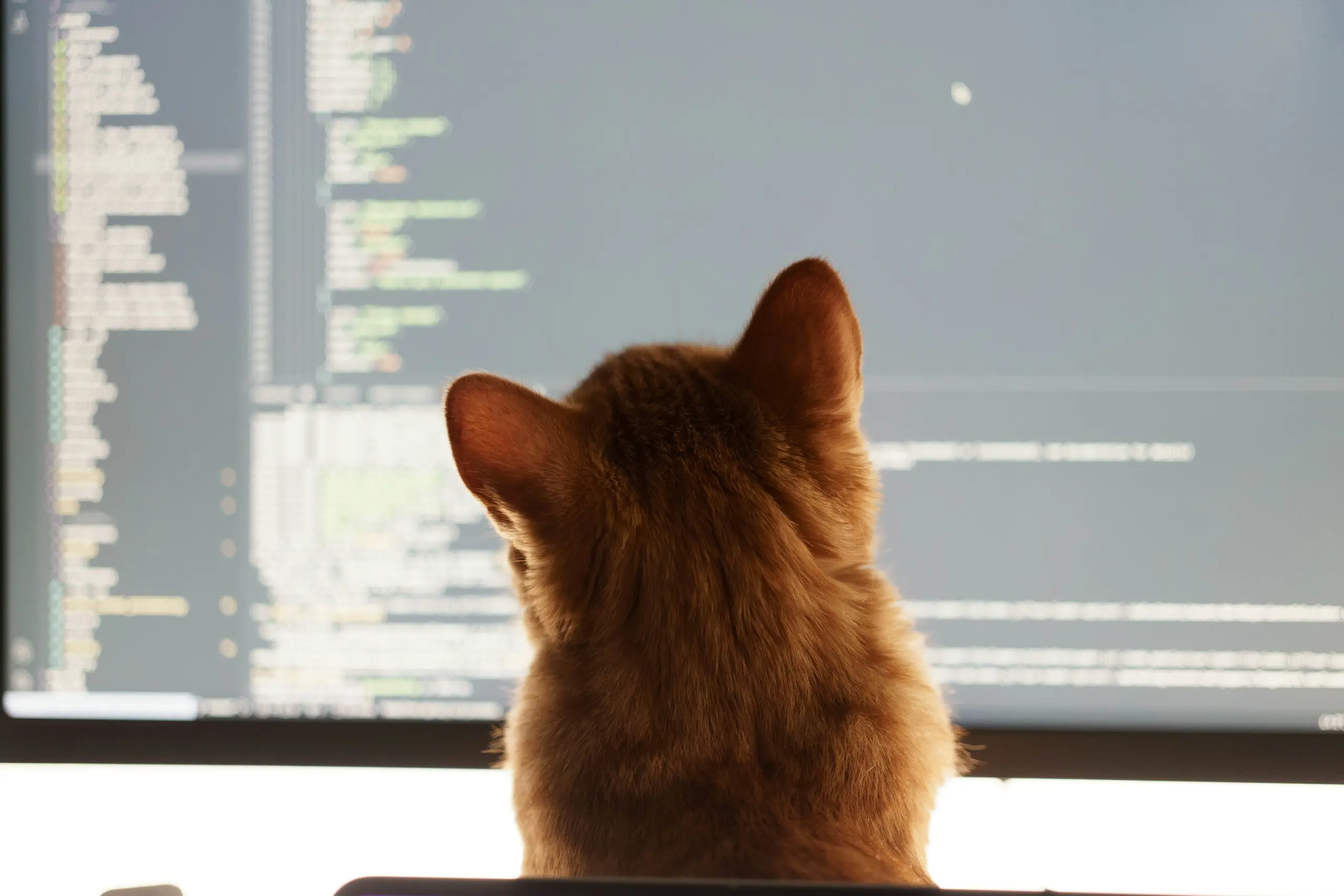 cat reviews code