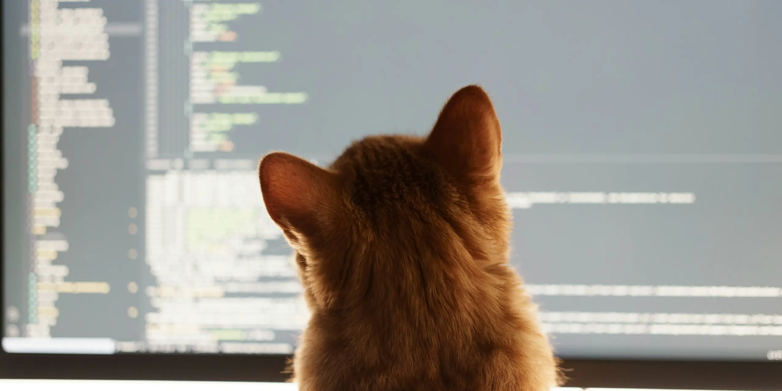 cat reviews code